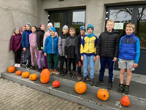 Pracovní činnosti 4. roč.