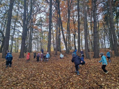 MŠ - Program "V lese" na Envicentru
